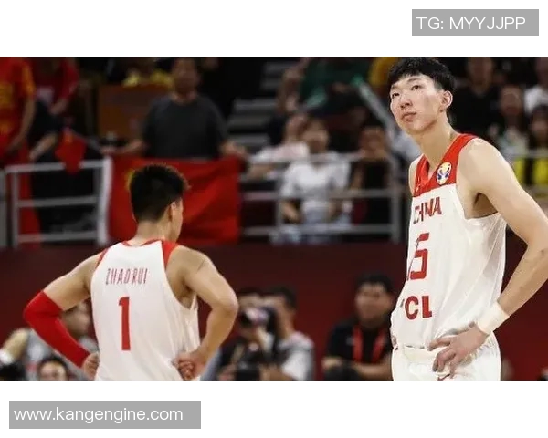 姚明圆脸照片欣赏与背后故事揭秘，探索这位篮球巨星的独特魅力与风采