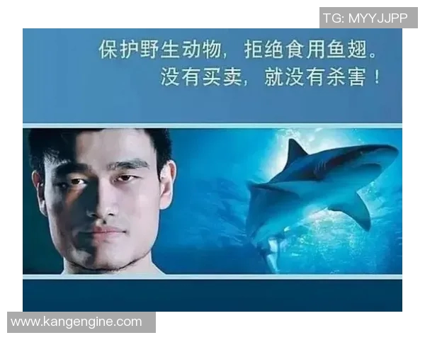 姚明携手公益倡导可持续发展鱼翅消费引发社会热议与反思