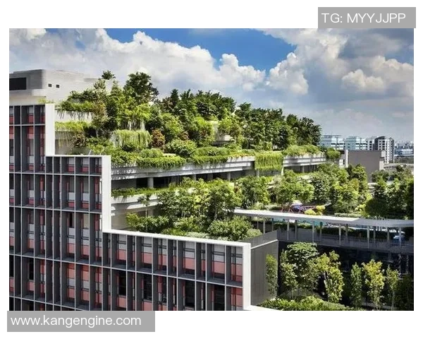 体育馆可持续发展研究绿色建筑设计与环保措施的综合探讨与实践分析